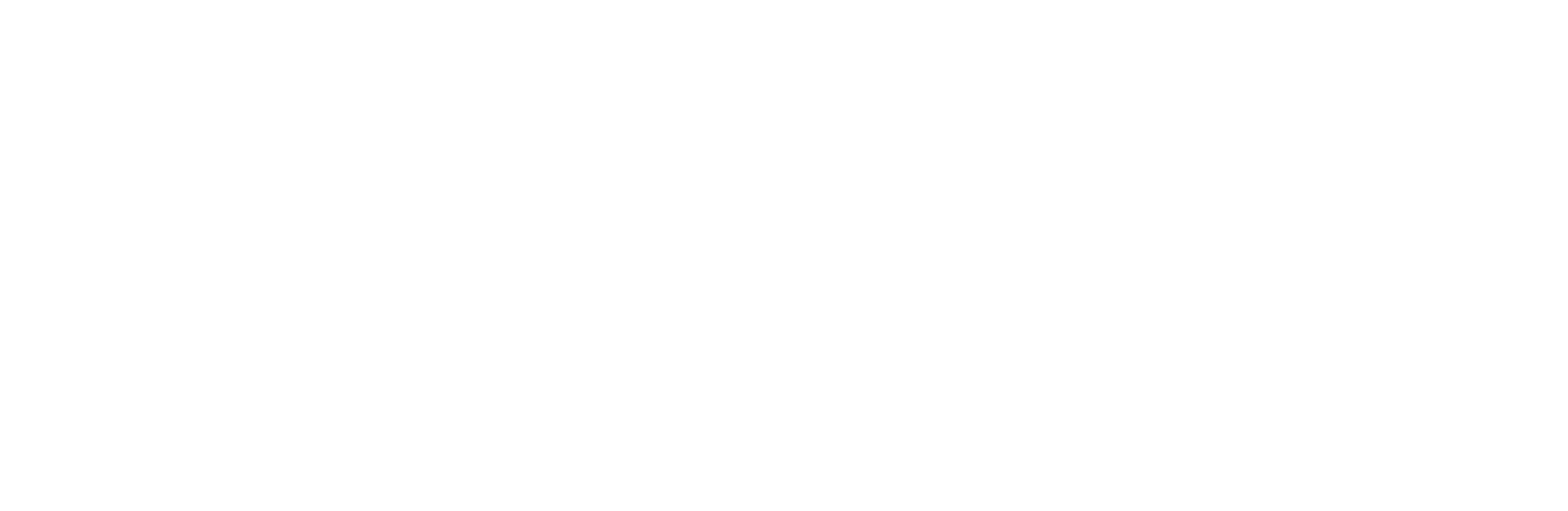 connexease-white-logo